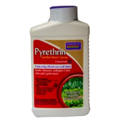 Bonide® Pyrethrin Spray
