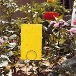 Stiky™ Strip Insect Traps