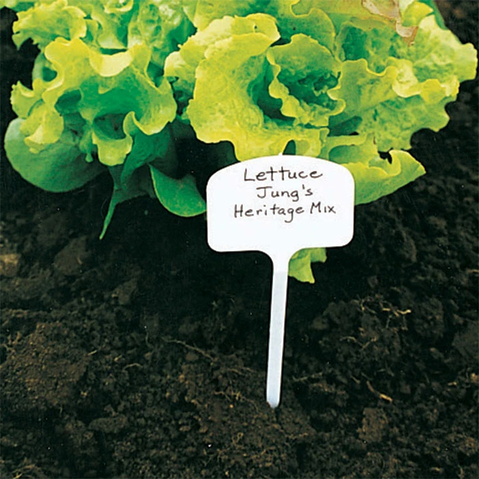 T Label Plant Markers (13 Inch)
