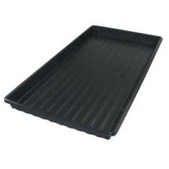 Black Germination Flat