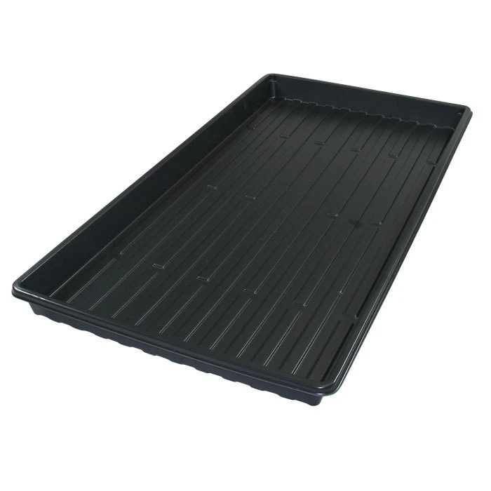 Black Germination Flat