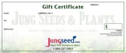 Gift Certificate